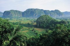 vinales